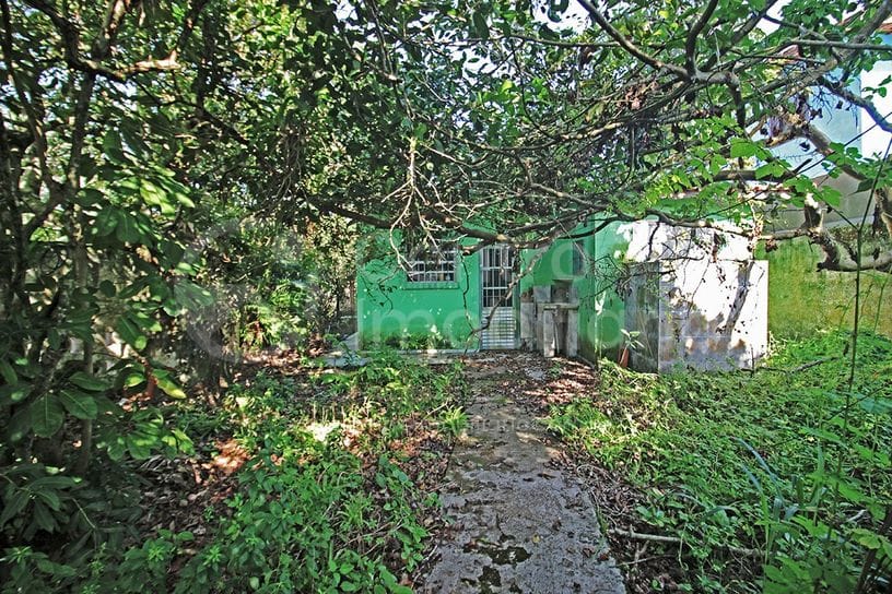 Foto do imóvel REF 19106